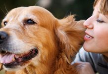 Σκύλος & άνθρωπος – Μια σχέση πραγματικής αγάπης και αφοσίωσης