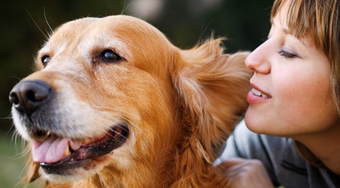 Σκύλος & άνθρωπος – Μια σχέση πραγματικής αγάπης και αφοσίωσης