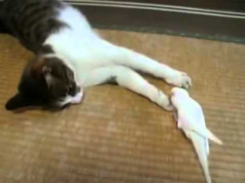 Ζειν επικινδύνως