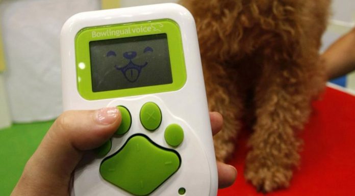 Νέα συσκευή μεταφράζει το γάβγισμα του σκύλου