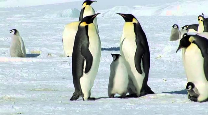 Listen to your heart – Mike Rowland