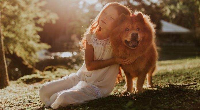 Το παιδί και το σκυλί