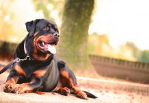 Ουρολισθίαση, τι είναι και πώς την προλαμβάνουμε