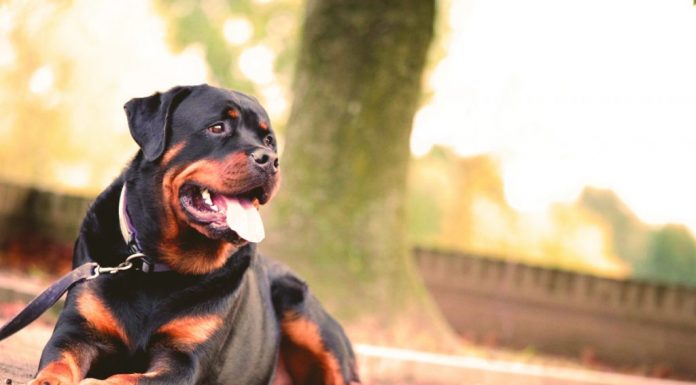 Ουρολισθίαση, τι είναι και πώς την προλαμβάνουμε