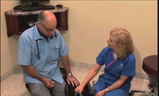 Τσίχλες χωρίς ζάχαρη