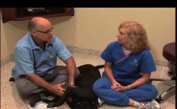 Οι κίνδυνοι της σοκολάτας, της σταφίδας, των σταφυλιών και της καφεΐνης στους σκύλους.