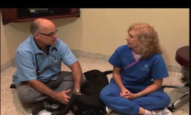 Οι κίνδυνοι της σοκολάτας, της σταφίδας, των σταφυλιών και της καφεΐνης στους σκύλους.