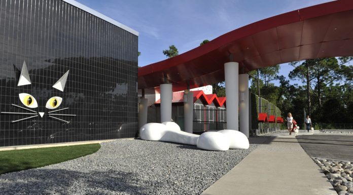 Πολυτελές θέρετρο για γάτες και σκύλους