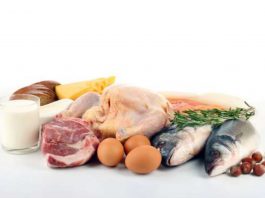 Μύθοι για τη διατροφή της γάτας