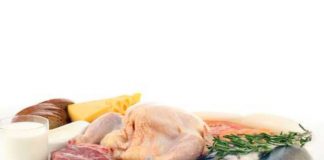 Μύθοι για τη διατροφή της γάτας