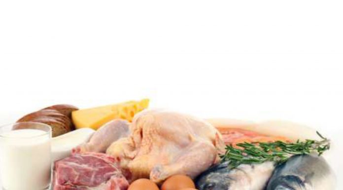 Μύθοι για τη διατροφή της γάτας